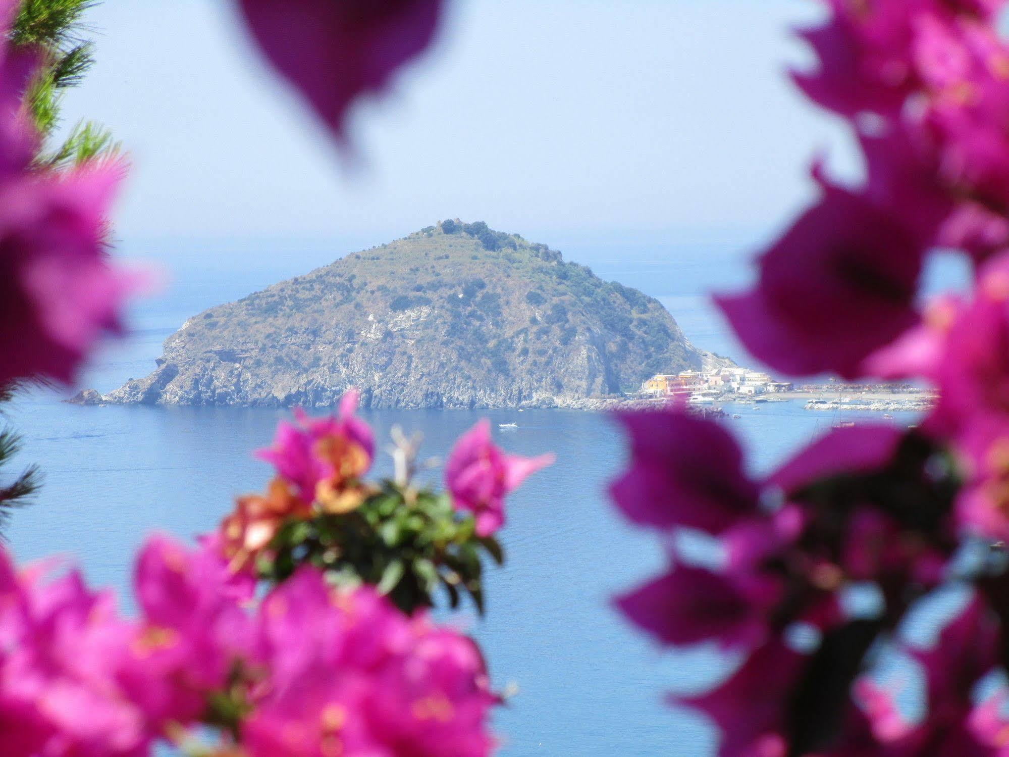 Hotel Villa Al Mare Barano dʼIschia Dış mekan fotoğraf